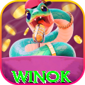winok - Live Plus